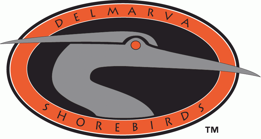 Delmarva Shorebirds 1996-2009 Primary Logo iron on heat transfer